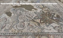 1700 Yıllık Roma Mozaiği Gün Yüzüne Çıkarıldı: Burjuva Yaşamının İzleri Ortaya Çıktı