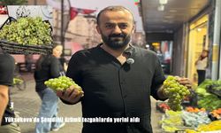 Yüksekova’da Şemdinli Üzümü Tezgâhlardaki Yerini Aldı