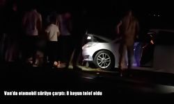 Van’da Otomobil Sürüye Çarptı: 8 Koyun Telef Oldu