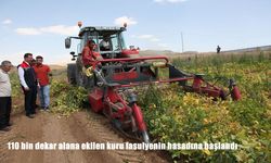 Bitlis’te 110 Bin Dekar Alanda Kuru Fasulye Hasadı Başladı