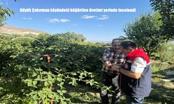 Erzincan’da Böğürtlen Üretimi Yerinde İncelendi: Büyük Çakırman Köyünde Tarıma Alternatif Katkı