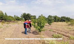 Erzincan Konakbaşı Köyünde Dut Bahçelerinde Hastalık ve Zararlı Kontrolleri Yapıldı