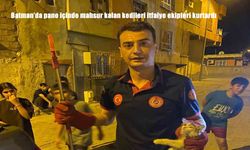 Batman’da Elektrik Panosuna Sıkışan 2 Kedi İtfaiye Tarafından Kurtarıldı