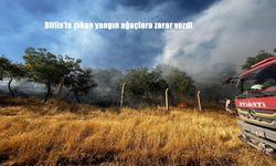 Bitlis’te Çıkan Yangın Ağaçlara Zarar Verdi
