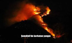 Şemdinli’de Korkutan Orman Yangını: Yerleşim Yerleri Son Anda Kurtarıldı