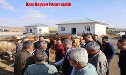 Kars Hayvan Pazarı Açıldı