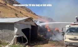 Yüksekova’da Korkutan Yangın: 20 Bin Bağ Ot Kül Oldu