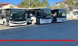 Bingöl’de Otobüs Kontrolden Çıktı, Park Halindeki Araca Çarpıp Durabildi!