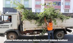 Ardahan’da Ağaçlar Budanıyor, Şehir Daha Yeşil Oluyor