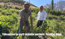 Yüksekova’nın Yeşiltaş Köyü, Yerli Üzüm Üretiminde Bölgeye Öncülük Ediyor
