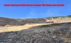 Aşkale’de Korkutan Anız Yangını: 100 Dönüm Tarım Arazisi Küle Döndü