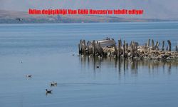 Van Gölü Havzası Kuraklık Tehlikesiyle Karşı Karşıya: İçme Suyu Kaynakları Tehlikede