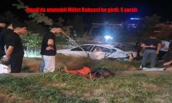 Feci Kaza: Araç Millet Bahçesi’ne Daldı, 5 Kişi Yaralandı
