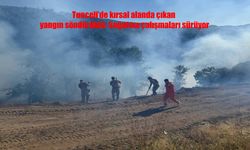 Tunceli’de kırsal yangını kontrol altına alındı