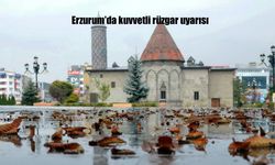 Meteoroloji’den kuvvetli rüzgar Uyarısı