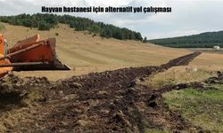 Ardahan Üniversitesi Kampüsünde Hayvan Hastanesi İçin Alternatif Yol Çalışması Başladı