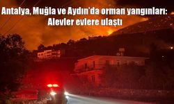 Antalya, Muğla ve Aydın’da orman yangınlarıyla zorlu mücadele