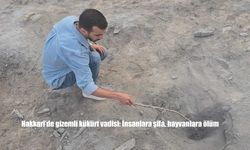 Gizemli Vadi İnsanlara Şifa, Kuşlara Ölüm Saçıyor