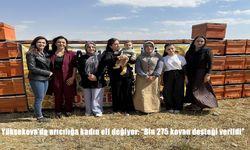 Yüksekova’da Kadın Arıcılar Destekle Güçleniyor: Bin 275 Kovan Hibe Edildi
