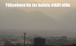 Yüksekova’yı Kaplayan Toz Bulutu Hayatı Felç Etti