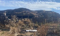 Kars'ta bir evde çıkan yangın diğer evlere ulaşmadan söndürüldü