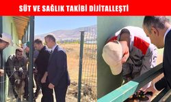 Muş Alparslan Üniversitesi çiftliğindeki koyunlara çip takıldı