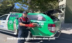 Elazığ'da akbaba yavrusu koruma altına alındı