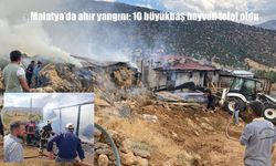 Malatya'da Ahır Yangını: 10 Büyükbaş Hayvan Telef Oldu