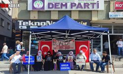 Muşlu aileler, "Terörsüz Türkiye" hayalinin gerçekleşmesini bekliyor