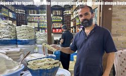 Van’ın Geleneksel Lezzeti Kışlık Küp Otlu Peyniri Tezgâhlarda Yerini Aldı