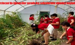 Erzincan’da Öğrenciler Serada Kışlık Sebze Ekimi Yaptı