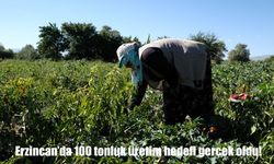 Erzincan’da 100 Tonluk Üretim Hedefi Gerçekleşti