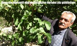 Kayısıya Alternatif Karadut Malatya’da Yüz Güldürüyor