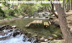 Elazığ’ın Palu İlçesindeki Teke Deresi Ziyaretçilerin Uğrak Noktası Oldu