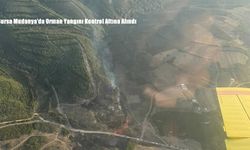 Bursa Mudanya’da Orman Yangını Kontrol Altına Alındı