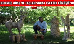 Varto’da kurumuş ağaç ve taşları sanat eserine dönüştürüyor