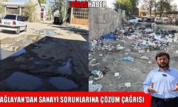 Muş Sanayi Sitesi'nin çilesi: Toz, çöp ve çukurlar esnafı bıktırdı