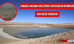 Muş’ta kuraklık nedeniyle balık ölümleri arttı
