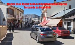 Deprem Aşkale ve Tercan’ı Salladı