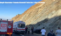 Bingöl-Diyarbakır Yolunda Otomobil Takla Attı: 3 Kişi Yaralandı