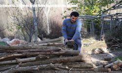 Erzincan’da Köylerde Kışlık Odun Hazırlıkları Hız Kazandı