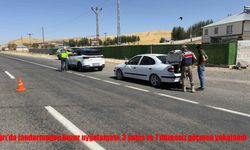 Ağrı’da 3 Şahıs ve 7 Düzensiz Göçmen Yakalandı