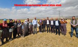 Yüksekova’da Şap Hastalığı Kontrol Altına Alındı: Çiftçiler Rahat Nefes Aldı