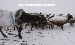 Göçerler kara yaylada yakalandı