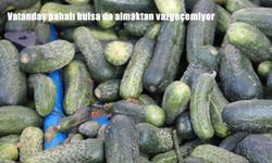 Vatandaş pahalı bulsa da almaktan vazgeçemiyor