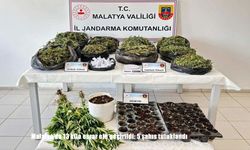 Malatya'da 13 kilo esrar ele geçirildi: 5 şahıs tutuklandı