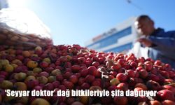 'Seyyar doktor' dağ bitkileriyle şifa dağıtıyor