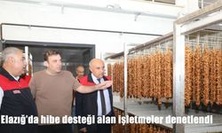 Elazığ'da hibe desteği alan işletmeler denetlendi