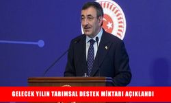 Çiftçilere müjde: 2026 tarımsal destek miktarları açıklandı