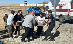 Karayazı’da trafik kazası: 1 yaralı